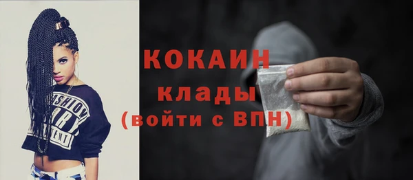 молекула духа Покровск