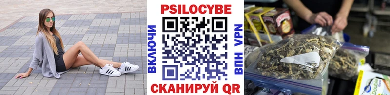 Галлюциногенные грибы мухоморы  blacksprut ССЫЛКА  Богородицк 